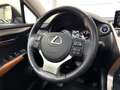 Lexus NX 300h NX 300h Executive Line PANO*CAM*DAB*NAVI*LEDER*CC Gris - thumbnail 21