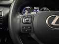 Lexus NX 300h NX 300h Executive Line PANO*CAM*DAB*NAVI*LEDER*CC Gris - thumbnail 22