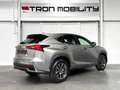 Lexus NX 300h NX 300h Executive Line PANO*CAM*DAB*NAVI*LEDER*CC Grigio - thumbnail 4