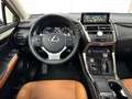 Lexus NX 300h NX 300h Executive Line PANO*CAM*DAB*NAVI*LEDER*CC Grigio - thumbnail 10