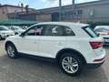 Audi Q5 2.0 TDI 190CV Business quattro s-tronic*EURO6B*NAV - thumbnail 6