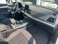 Audi Q5 2.0 TDI 190CV Business quattro s-tronic*EURO6B*NAV - thumbnail 11