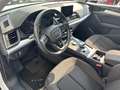 Audi Q5 2.0 TDI 190CV Business quattro s-tronic*EURO6B*NAV - thumbnail 8