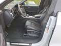Audi RS Q8 Keramik|ESS|Matrix|AHK|Pano|360°|ACC|AIR|B Weiß - thumbnail 15