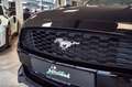 Ford Mustang 3.7 Cabrio*PDC*CAM*LED*UNFALLFREI* Zwart - thumbnail 14