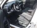 Toyota Yaris Cross Hybrid 4x4 - Adventure+JBL+Pano+AHK+WKR Wit - thumbnail 10
