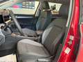 Volkswagen Golf Variant 1.5 eTSI DSG GOAL AHK RFK NAVI GJR Rot - thumbnail 7