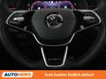 Skoda Scala 1.5 TSI ACT Monte Carlo Grau - thumbnail 19
