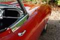 Jaguar E-Type Series 1 3.8 Roadster Matching numbers - Accompani Rot - thumbnail 28