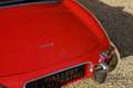 Jaguar E-Type Series 1 3.8 Roadster Matching numbers - Accompani Rot - thumbnail 20