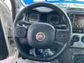 Fiat Panda Hybrid City Cross Bianco - thumbnail 14