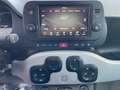 Fiat Panda Hybrid City Cross Bianco - thumbnail 15