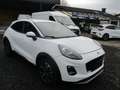 Ford Puma Puma 1.0 EcoBoost mHEV Titanium  28000 km !!!! Blanc - thumbnail 2
