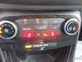 Ford Puma Puma 1.0 EcoBoost mHEV Titanium  28000 km !!!! Blanc - thumbnail 11