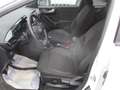 Ford Puma Puma 1.0 EcoBoost mHEV Titanium  28000 km !!!! Blanc - thumbnail 14