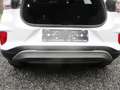 Ford Puma Puma 1.0 EcoBoost mHEV Titanium  28000 km !!!! Blanc - thumbnail 18