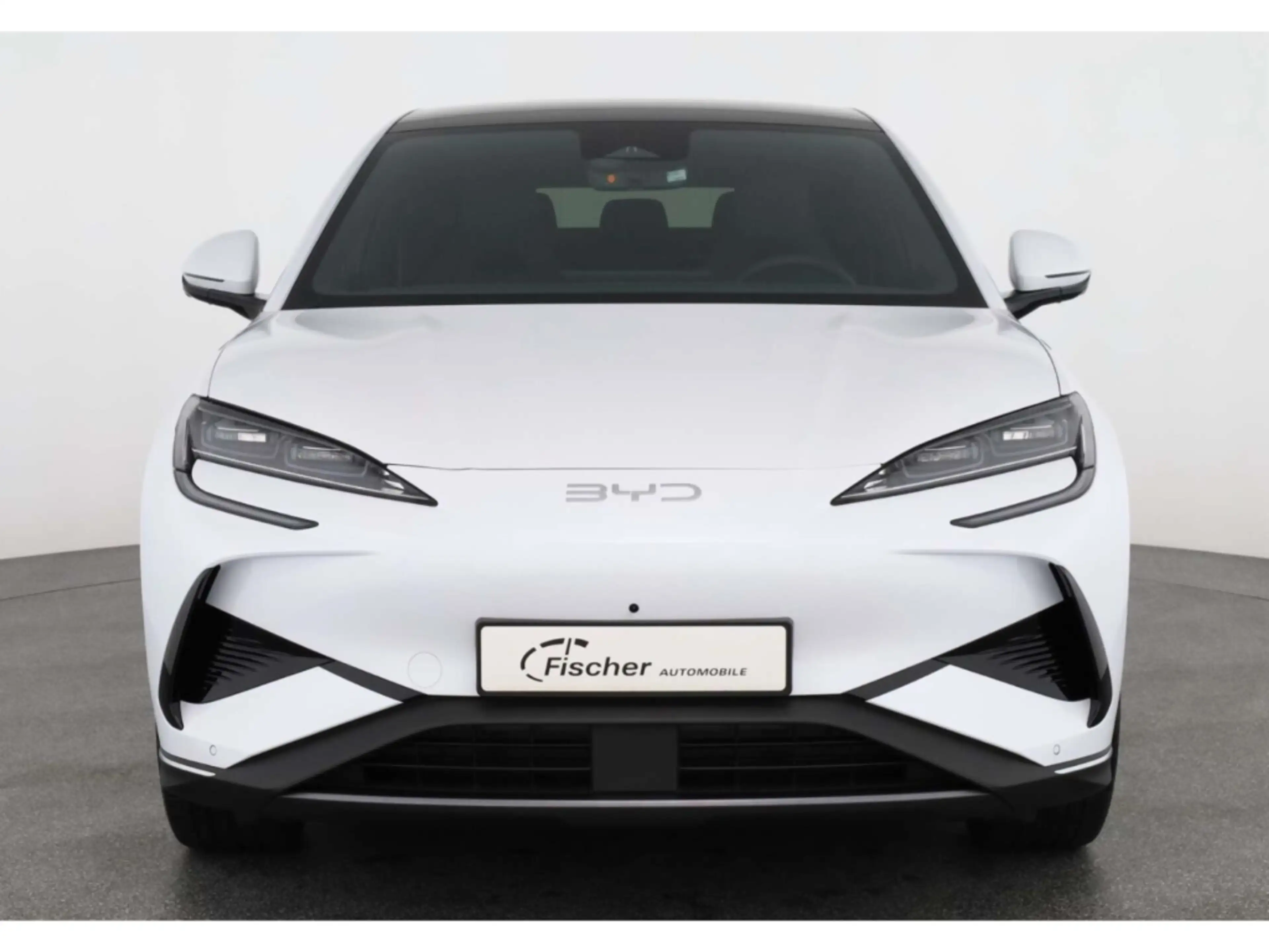 BYD Sealion 7 Elektro Design AWD — photo 3