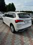 Skoda Kamiq 1.0 tsi Ambition 110cv dsg Bianco - thumbnail 6