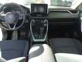 Toyota RAV 4 2.5 hybrid 4WD Business Blanco - thumbnail 8
