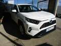 Toyota RAV 4 2.5 hybrid 4WD Business Blanco - thumbnail 14
