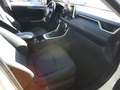 Toyota RAV 4 2.5 hybrid 4WD Business Blanco - thumbnail 11