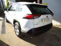 Toyota RAV 4 2.5 hybrid 4WD Business Blanco - thumbnail 22