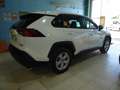 Toyota RAV 4 2.5 hybrid 4WD Business Blanco - thumbnail 3