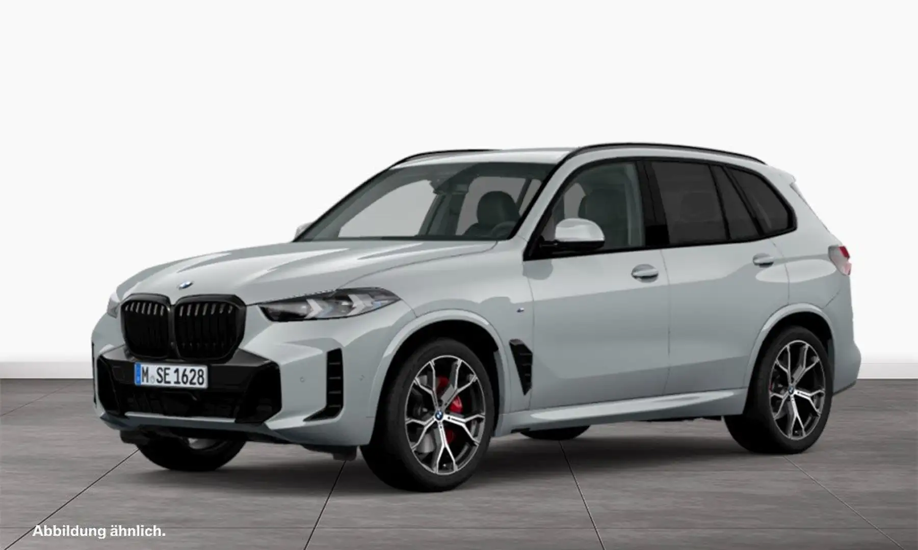 BMW X5 xDrive30d M Sportpaket Gestiksteuerung DAB Grau - 1