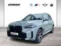 BMW X5 xDrive30d M Sportpaket Gestiksteuerung DAB Grau - thumbnail 1