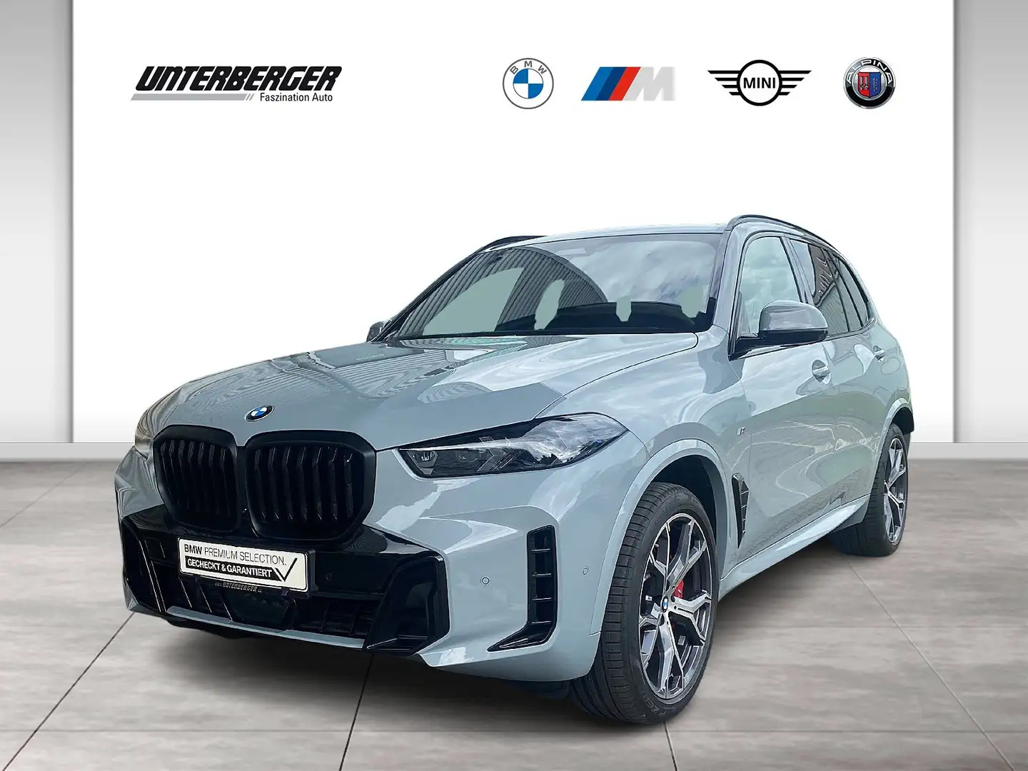 BMW X5 xDrive30d M Sportpaket Gestiksteuerung DAB Grau - 1