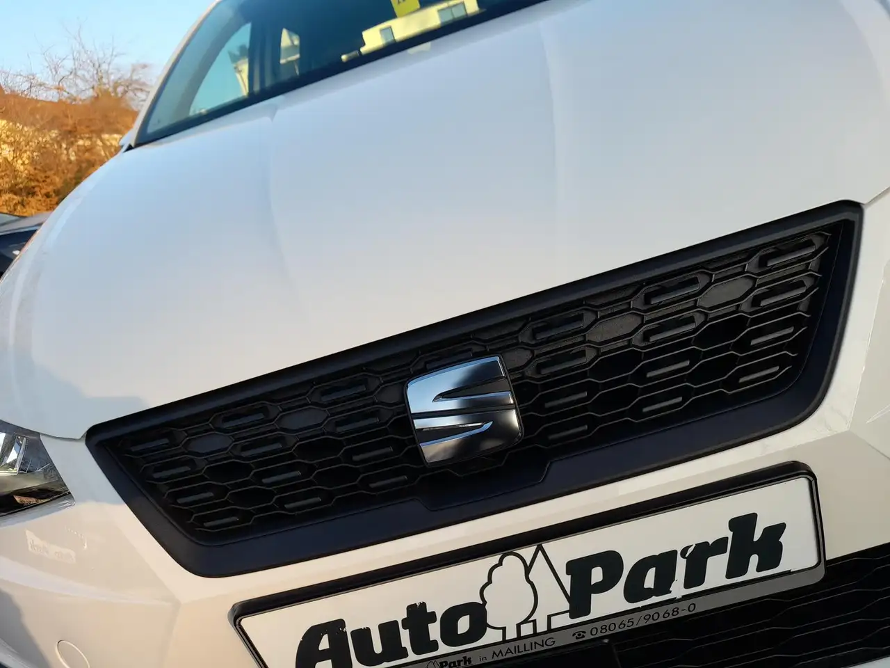 SEAT Ibiza 1.0 MPI Reference NAVI/APP~SHZ~PDC~ALU~GRA 12