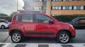 Fiat Panda Panda 1.3 mjt 16v 4x4 75cv E5+ Rosso - thumbnail 4