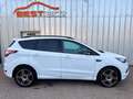 Ford Kuga ST-LINIE | 150 PS | NAVI | PARK-ASSISTENT Weiß - thumbnail 6