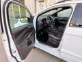 Ford Kuga ST-LINIE | 150 PS | NAVI | PARK-ASSISTENT Weiß - thumbnail 13
