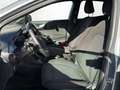 Ford Puma 1,0 EcoBoost Hybrid ST-Line Grau - thumbnail 12