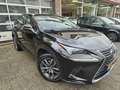 Lexus NX 300h AWD Business Line Rijstrokensensor/Grootlicht assi Zwart - thumbnail 2