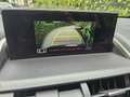 Lexus NX 300h AWD Business Line Rijstrokensensor/Grootlicht assi Zwart - thumbnail 12