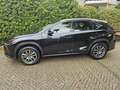 Lexus NX 300h AWD Business Line Rijstrokensensor/Grootlicht assi Zwart - thumbnail 5