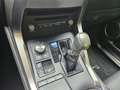Lexus NX 300h AWD Business Line Rijstrokensensor/Grootlicht assi Zwart - thumbnail 14