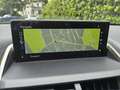 Lexus NX 300h AWD Business Line Rijstrokensensor/Grootlicht assi Zwart - thumbnail 11