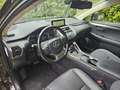 Lexus NX 300h AWD Business Line Rijstrokensensor/Grootlicht assi Zwart - thumbnail 8