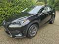 Lexus NX 300h AWD Business Line Rijstrokensensor/Grootlicht assi Zwart - thumbnail 3