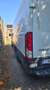 Iveco Daily 35 C 16 V Wit - thumbnail 7