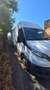 Iveco Daily 35 C 16 V Wit - thumbnail 1