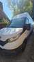 Iveco Daily 35 C 16 V Wit - thumbnail 2