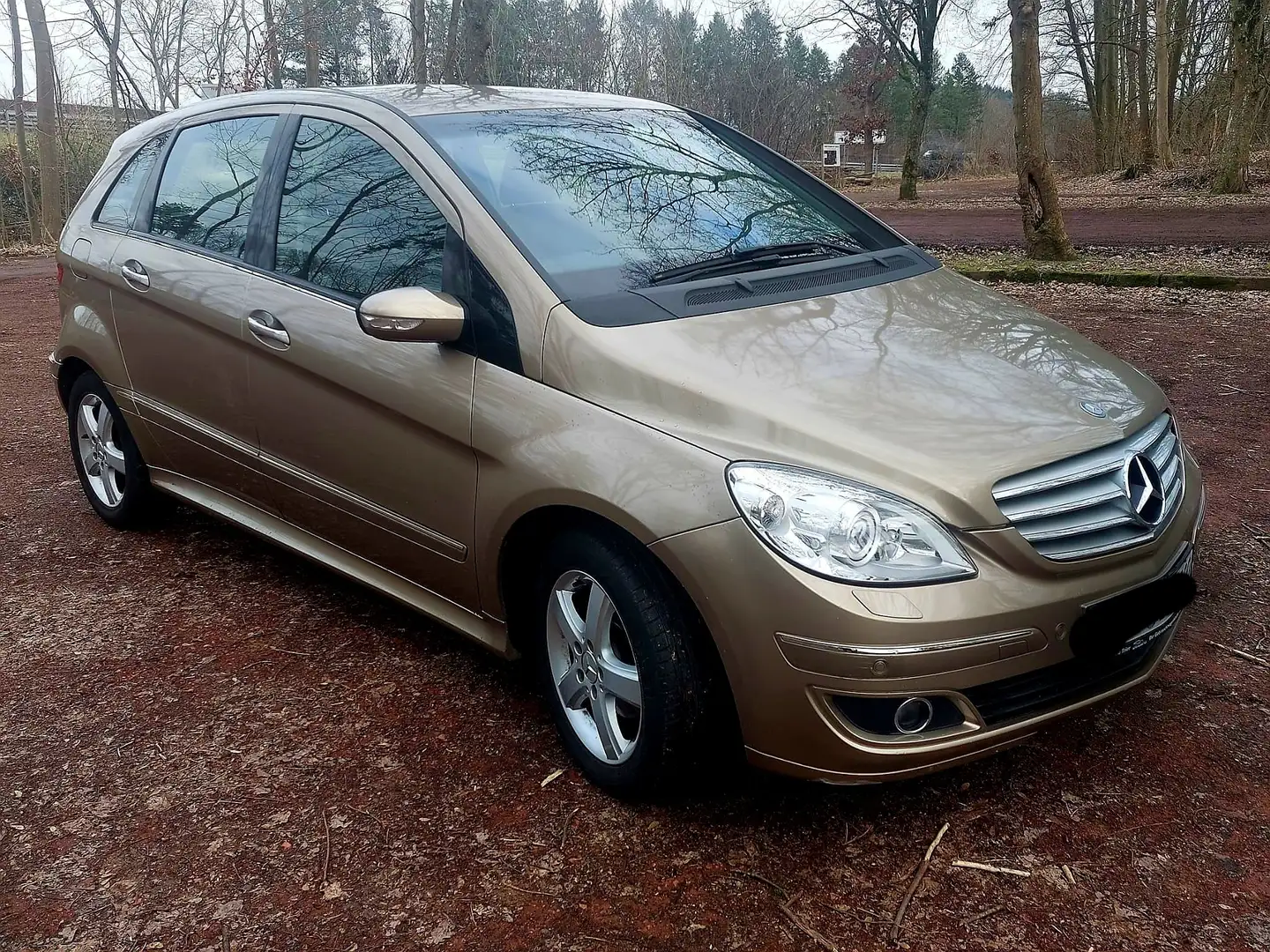 Mercedes-Benz B 170 B 170 Béžová - 1