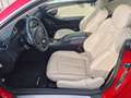 Mercedes-Benz CLK 350 Coupe  Avantgarde  AMG-Line Edition Czerwony - thumbnail 9