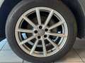 Audi Q5 2.0 TDI  quattro · S-line · AHK · Panorama Gris - thumbnail 11