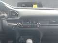 Mazda CX-30 e-SKYACTIV-G Homura 140 PS /Alexa Grau - thumbnail 11