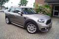 MINI Cooper Countryman Mini 1.5 Dutch Made Edition Autom Navi Clima Apple Gris - thumbnail 8